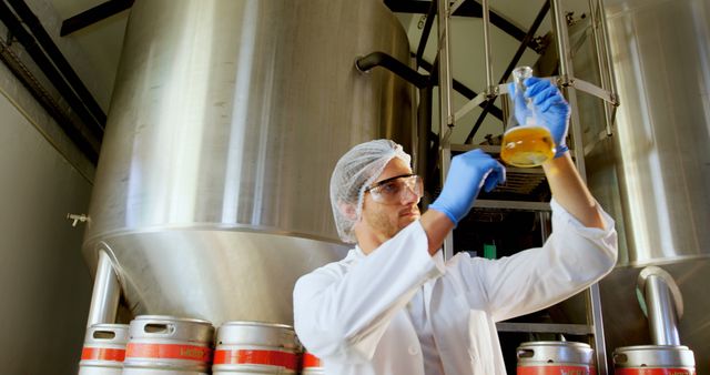 Brewery Technologist Inspecting Beer Sample in Laboratory - Download Free Stock Images Pikwizard.com