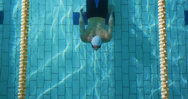 Swimmer in the pool practicing aquatic exercises - Download Free Stock Images Pikwizard.com