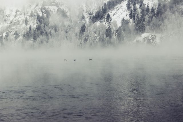 This captivating image showcases a mystical landscape with dense fog blending over a serene lake and snow-covered forests in the background. It exudes tranquility and calmness, making it perfect for travel blogs, meditation or relaxation content, winter-themed promotions, and nature-oriented websites. The presence of flying birds adds a dynamic element to the otherwise still and peaceful environment, adding depth and interest.