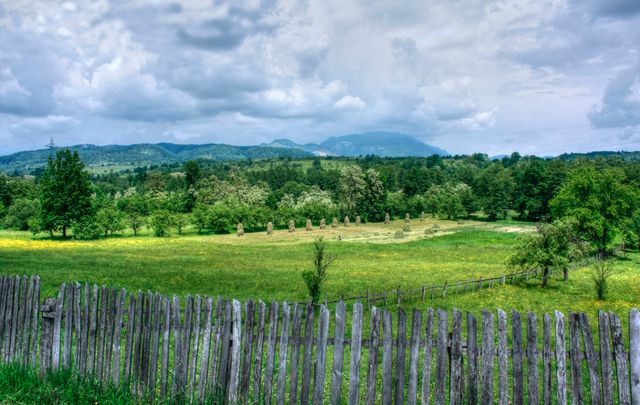 Idyllic rural scene features a wooden fence in foreground with expansive green meadows dotted with trees leading to distant hills and mountains. Perfect for promoting rural tourism, nature retreats, agricultural content, and environmental themes.