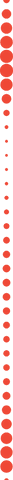 Red Circle Pattern on Transparent Background - Download Free Stock Videos Pikwizard.com