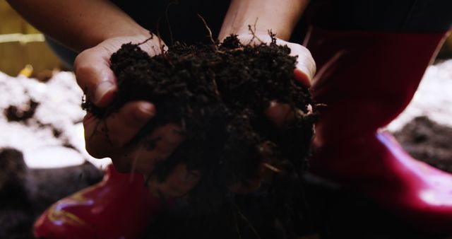 Gardener Holding Fresh Soil with Red Boots in Background - Download Free Stock Images Pikwizard.com