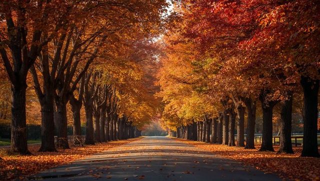 Serene autumn avenue with colorful trees and fall foliage