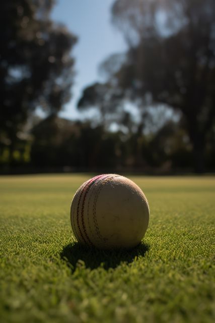 Cricket ball resting on a lush green grass field with trees in the background during sunset. This stock photo is perfect for use in sports-related articles, cricket club advertisements, blog posts about sports, backgrounds for social media, or general nature and outdoor activities content.