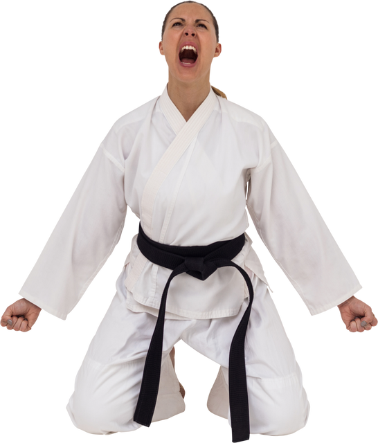 Inspired Female Martial Artist with Transparent Background - Download Free Stock Videos Pikwizard.com