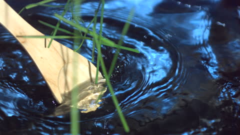Oar Cutting Through Reflective Water in Nature Scene