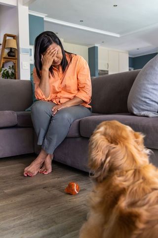 Stressed woman sitting on sofa covering face while golden retriever waits with ball