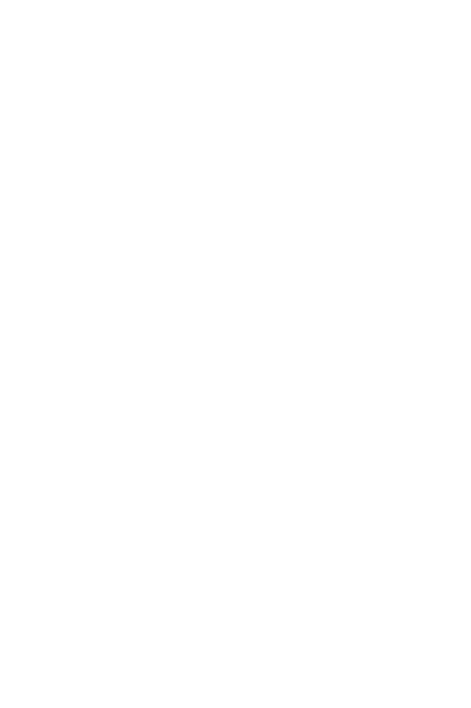 Transparent Silhouette of a Weightlifting Man - Download Free Stock Videos Pikwizard.com