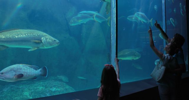 Family Enjoying Aquarium Visit with Large Fish Tank - Download Free Stock Images Pikwizard.com