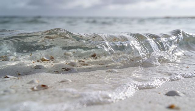 Glassy curl of shallow wave rolling over shell-strewn white sand under soft cloudy sky