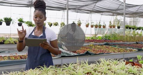 Modern Horticulturist Analyzing Plant Health in Sustainable Greenhouse