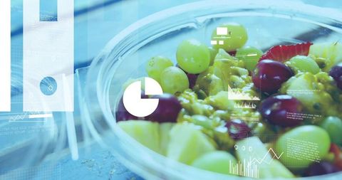 Fresh fruit salad with digital data overlay presenting food analytics and to-go branding
