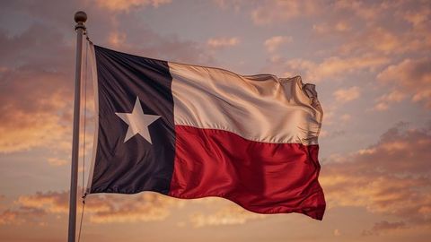 The image captures the Texas state flag gracefully waving against a soft, dramatic sunset backdrop. The sunlight enhances the red, white, and blue, evoking a sense of state pride and patriotism. Ideal for use in content related to Texas culture, state tourism, or American civic pride. The striking contrast and vivid colors make it suitable for editorial use or as part of graphic layouts.