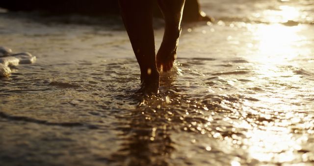 Person barefoot walking on wet beach sand at sunset - Download Free Stock Images Pikwizard.com