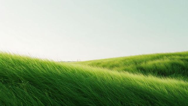Swaying green grass on rolling hills under pale sky, tranquil pastoral landscape
