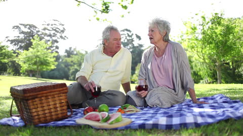 Senior Couple Enjoying Picnic Outdoors with Wine and Fresh Fruit