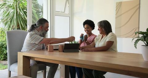 Senior Couple And Young Woman Celebrating Pregnancy At Dining Table