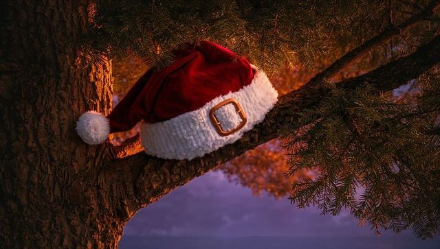 Draping santa hat on evergreen branch at coastal dusk with cinematic warm golden backlight