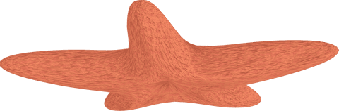 Illustration of Vibrant Orange Starfish on Transparent Background