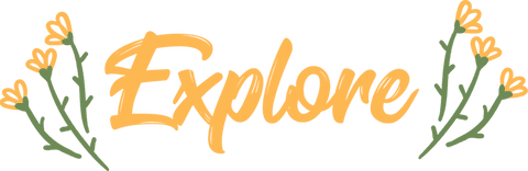 Elegant floral explore text on transparent background