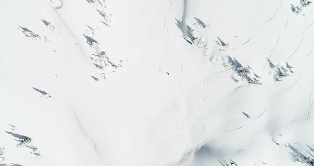 Aerial view of a snow-covered mountain with visible ski tracks and scattered trees. Ideal for showcasing winter sports, outdoor adventures, and wilderness exploration. Suitable for use in travel brochures, winter sport promotions, and scenic wallpapers.