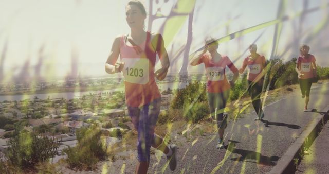 Women running in a marathon race outdoors on a sunny day. Participants are determined, showcasing athleticism and fitness. The image is ideal for use in advertisements, fitness programs, sports events, and articles around healthy lifestyles and team building activities.