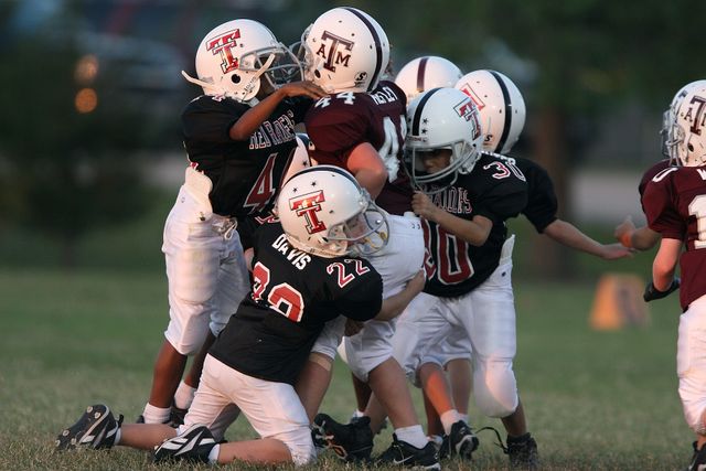 Young football players celebrate on a grass field. Their shared excitement highlights the importance of teamwork and achievement in youth sports. This image can be used for articles about youth sports, blogs on teamwork, or promotions for children's sports leagues.