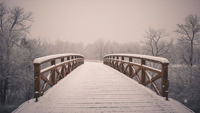 Snow-covered wooden bridge leading into foggy winter forest pathway for quiet moments
