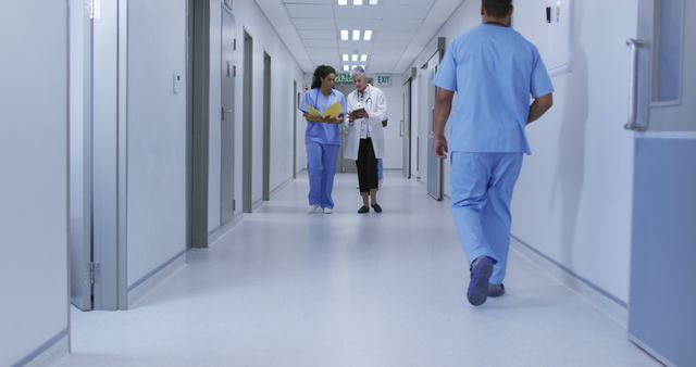 Doctors and Nurses Walking Through Hospital Corridor - Download Free Stock Images Pikwizard.com