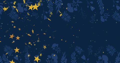 Midnight Sky with Golden Stars and Botanical Elements