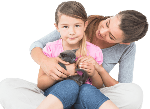 mother and daughter bonding with cat on transparent background - Download Free Stock Videos Pikwizard.com