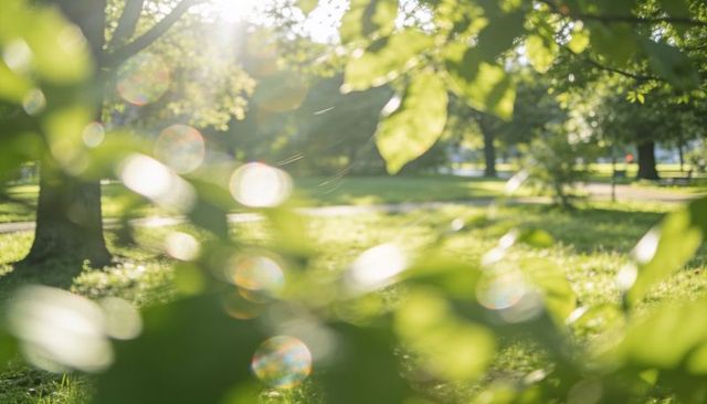 Sunlight filtering through out-of-focus green leaves creating warm bokeh and lens flare