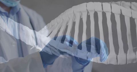 Male researcher aligning dna double helix overlay wearing mask and blue gloves