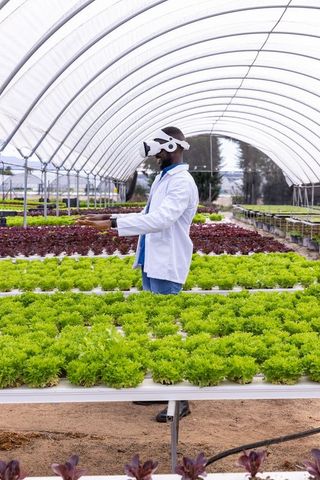 Innovative agriculture: man in vr headset in hydroponic greenhouse