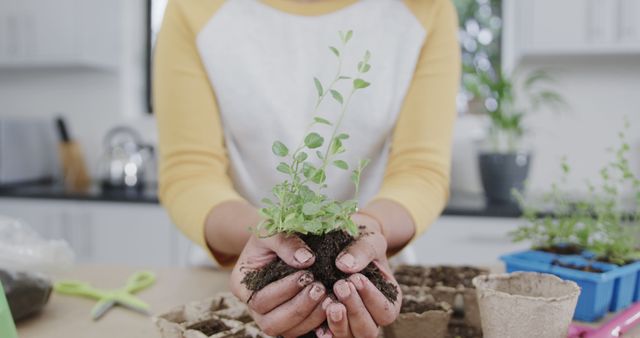 Midsection of biracial woman holding seedling in kitchen at home - Download Free Stock Photos Pikwizard.com