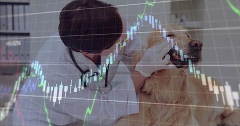 Veterinarian examining golden retriever dental health with financial chart overlay