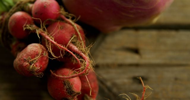 Fresh radishes with vibrant pink hues and earthy roots are displayed against a rustic wooden background, with copy space. Their organic texture and natural appearance emphasize the beauty of farm-fresh produce.