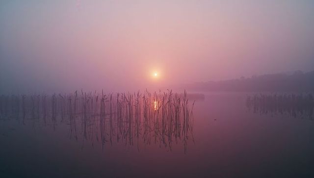 Tranquil Dawn Over Serene Lake with Rising Sun and Reeds