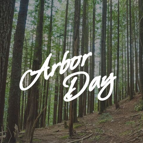Arbor Day Celebration in Serene Forest During Daylight - Download Free Stock Templates Pikwizard.com