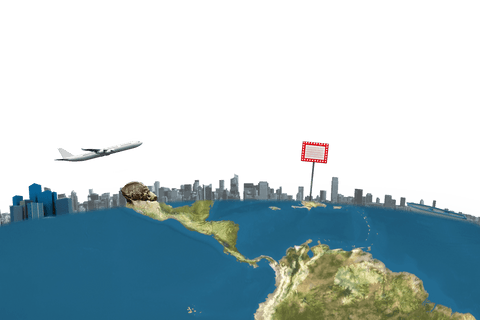 flying airplane over transparent globe illustration - Download Free Stock Videos Pikwizard.com