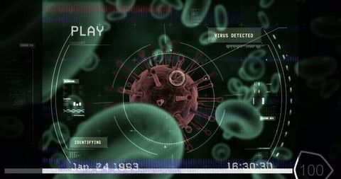 Digital Interface Displays Virus Detection in Bloodstream - Download Free Stock Images Pikwizard.com