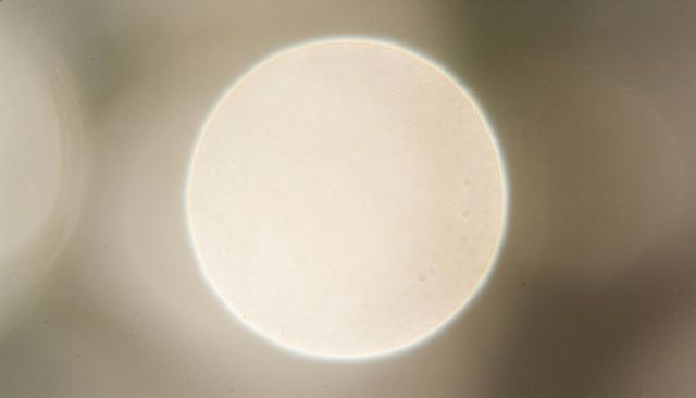 Glowing beige bokeh disc showing faint halo and grain, minimalist abstract light background