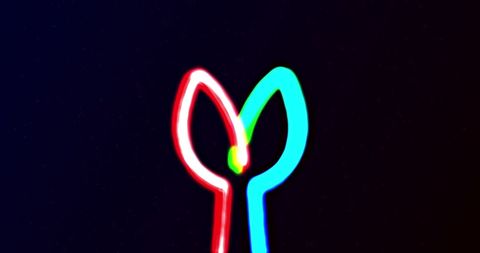 Entwined Neon Lines on Black Background - Download Free Stock Images Pikwizard.com