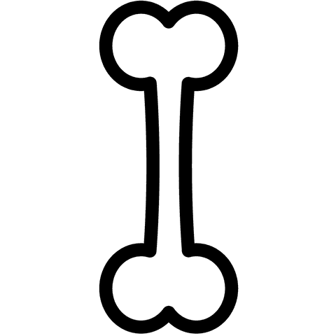 transparent black bone outline on white background - Download Free Stock Videos Pikwizard.com
