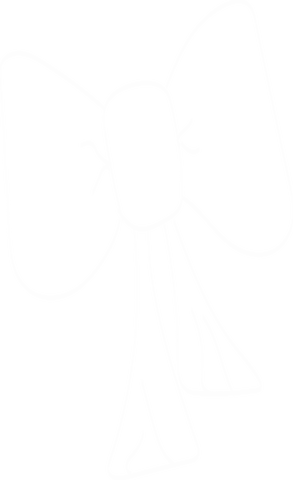 Stylized ribbon bow outline on transparent background