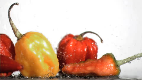 Colorful Peppers and Chilies in Slow Motion on Wet Surface