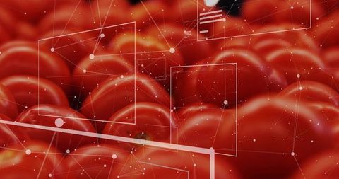 Futuristic agricultural technology visualization with tomatoes