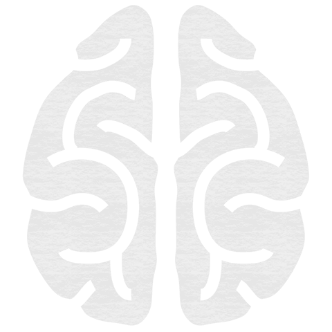 transparent brain vector outline on white - Download Free Stock Videos Pikwizard.com