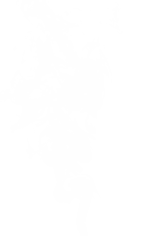 Floating smoke trail on transparent background for artistic framing