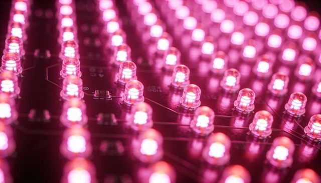 Glowing Magenta LED Array Forming Dense Grid on Glossy PCB with Copper Traces and Reflections